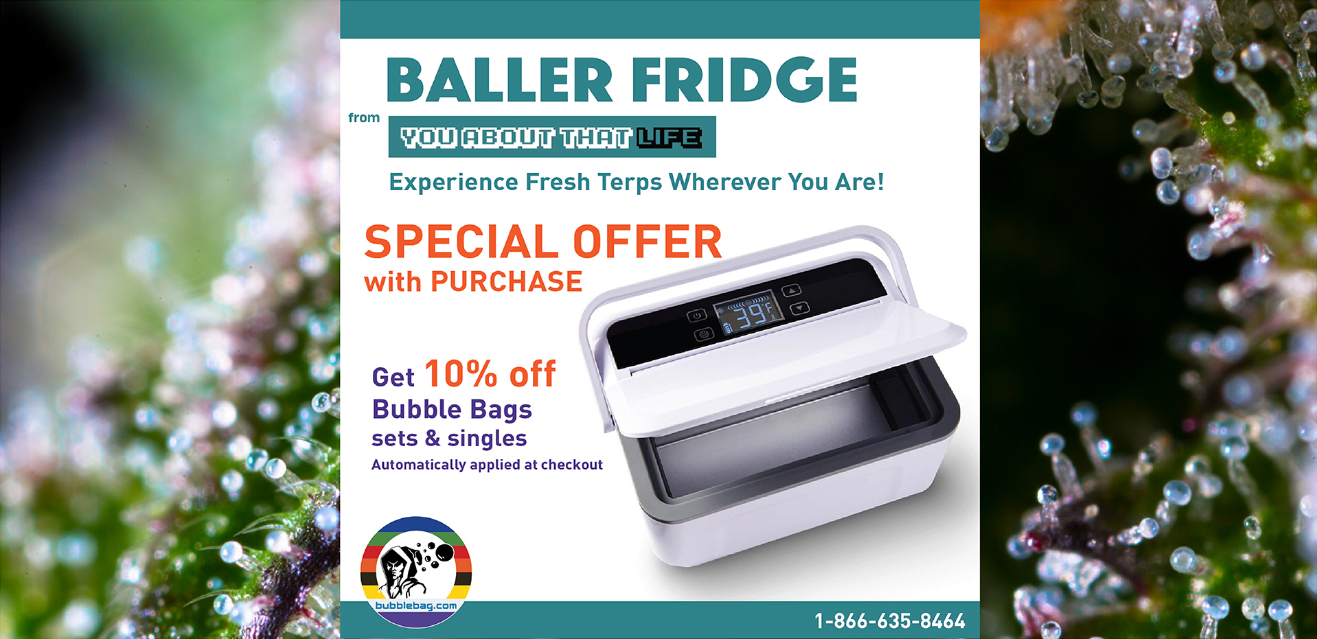Get 10% off Bubble Bags with the purchase of a Baller Fridge