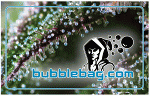 Bubblebag.com Dry Sift Card Close Up