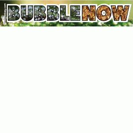 Bubble Now Sticker (STK BNOW)